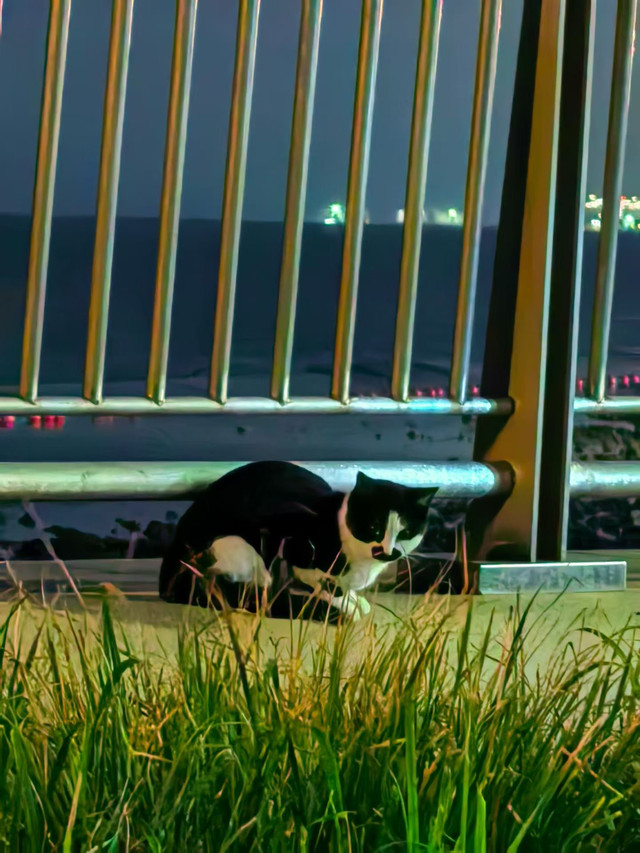 我们踏上了天津滨海大道沙滩公园的人工沙滩