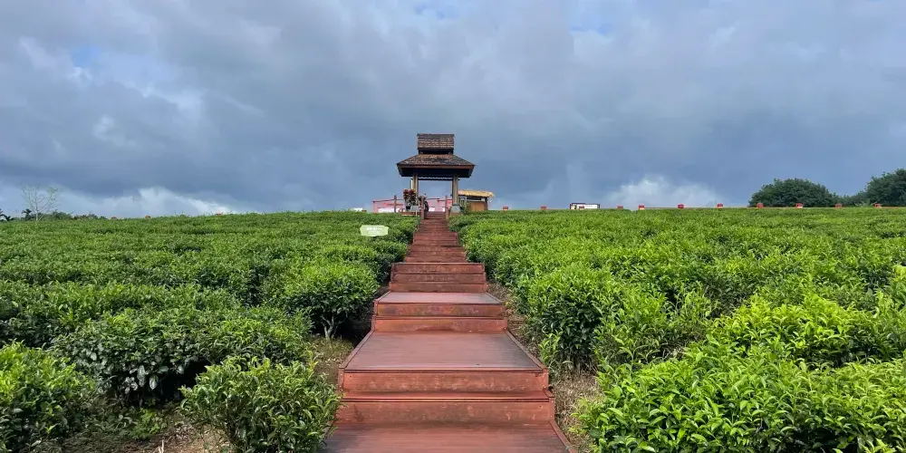 永安旅遊
