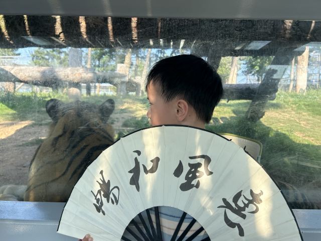 西霞口神雕山野生动物世界奇遇乐园旅行图片 1
