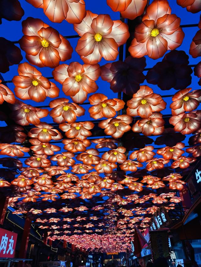 老北市旅行图片 5