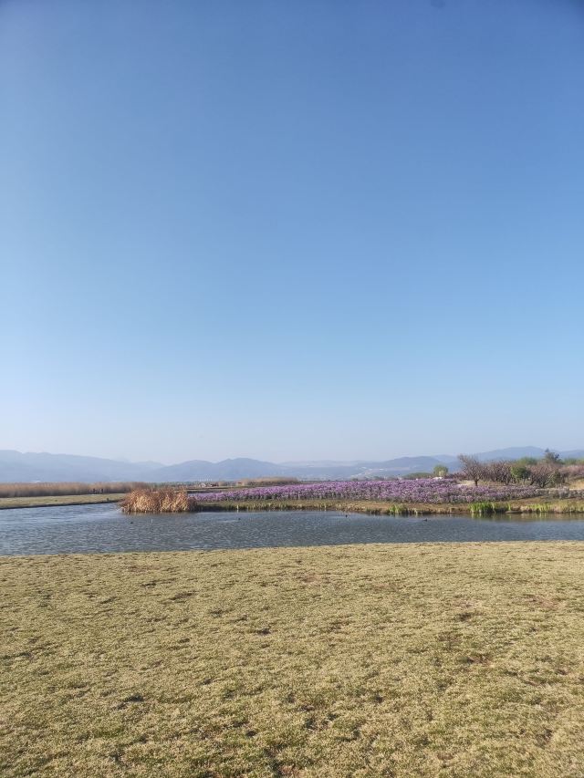 候鸟湾湿地旅行图片 3