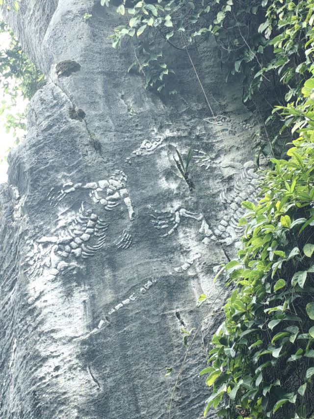贵阳喀斯特公园旅行图片 3