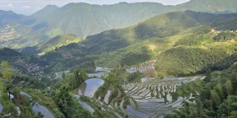 雲和梯田景區-七星墩景區