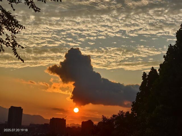 老山城市休闲公园旅行图片 10