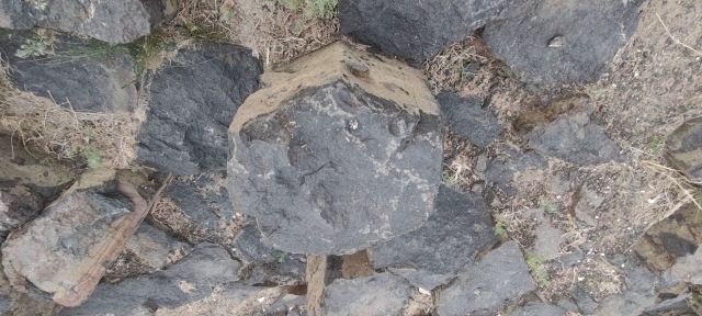 谷力脑包火山地质遗迹旅行图片 8