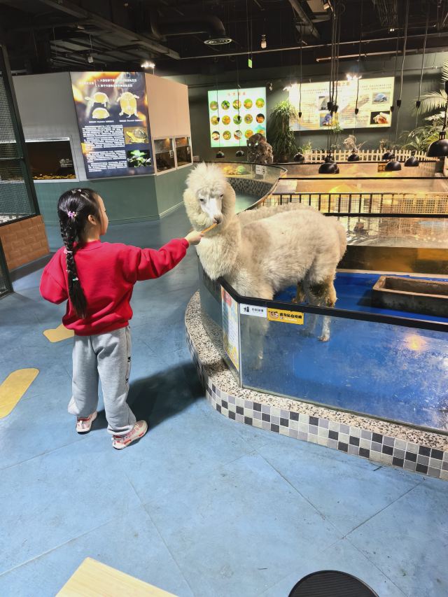 东方明珠公园旅行图片 1