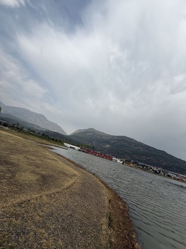 候鸟湾湿地旅行图片 2