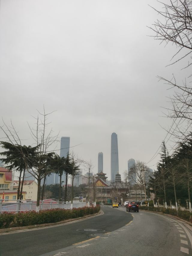 青岛湛山寺旅行图片 4