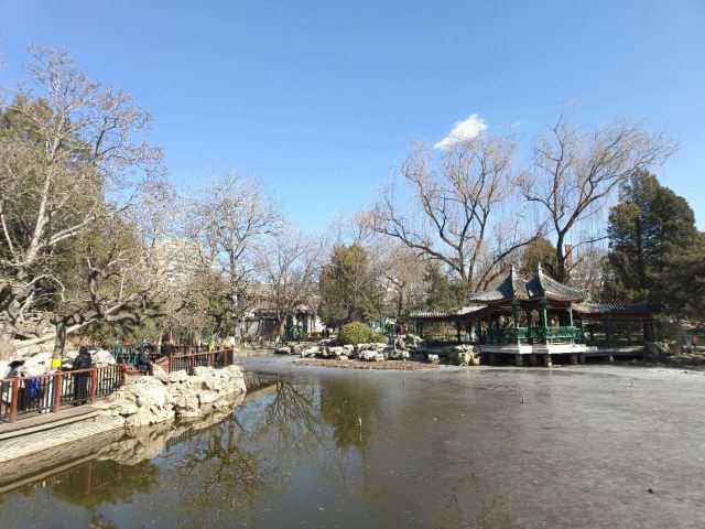 宣武艺园旅行图片 12