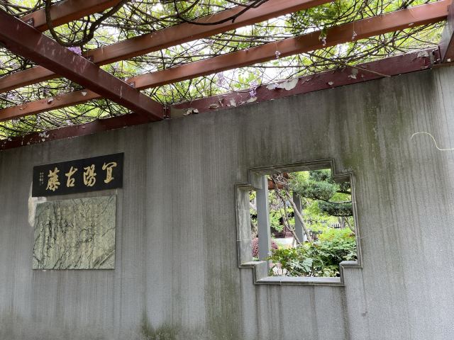 古藤园旅行图片 4
