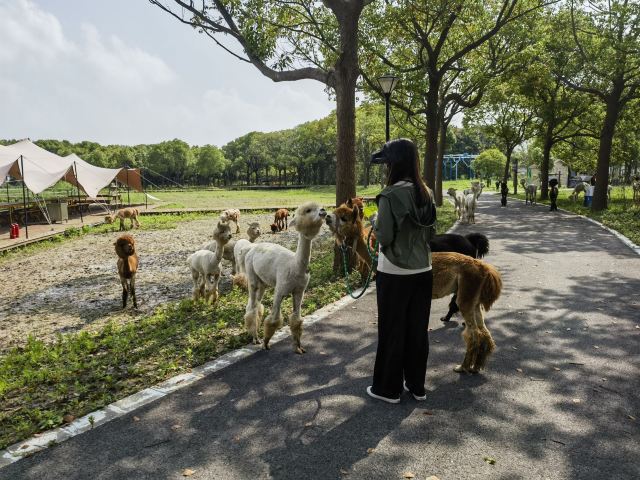 自然卷卷牧野旅行图片 7