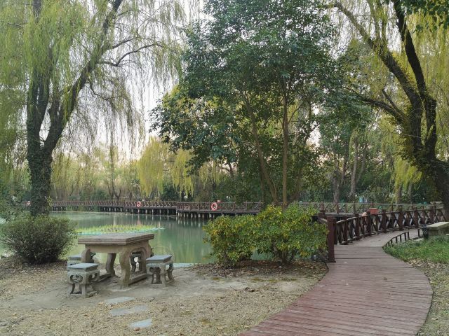 上海浦江之首旅行图片 4