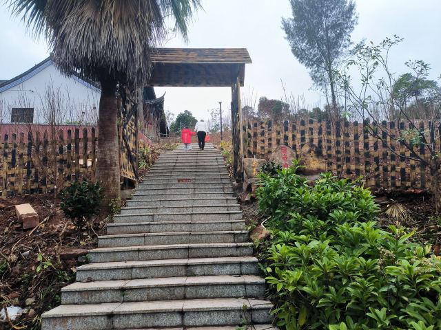中越人民友谊公园旅行图片 9