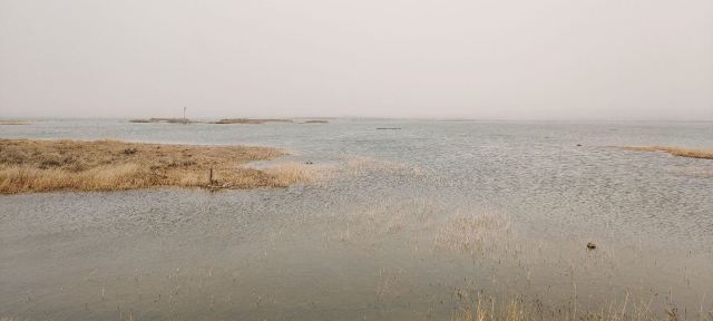 康巴什旅游区旅行图片 1