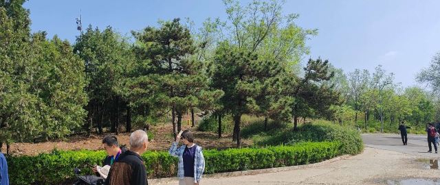 老山城市休闲公园旅行图片 8