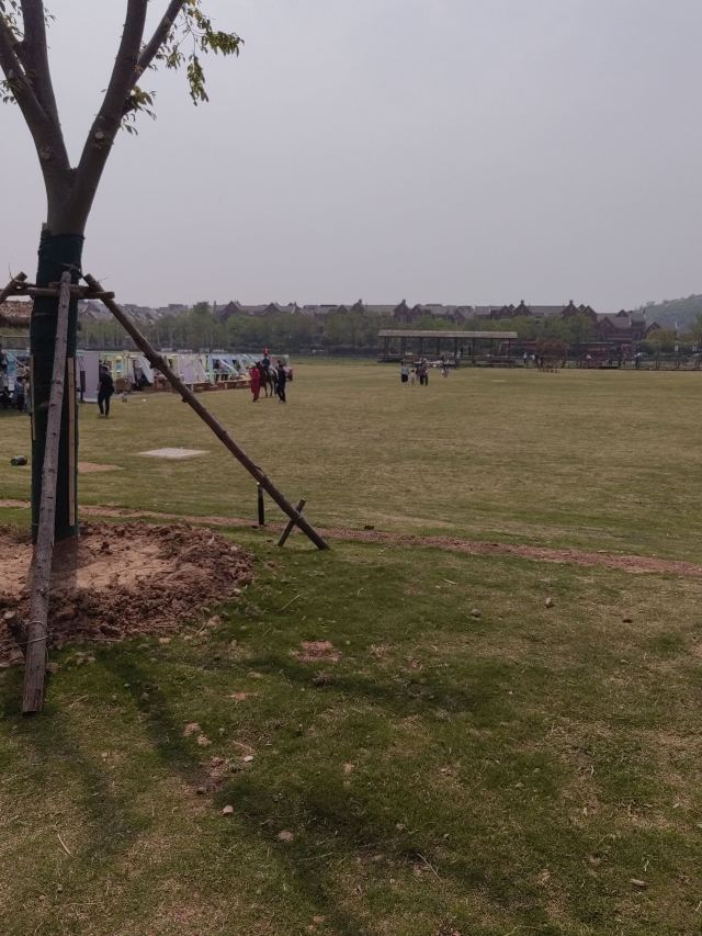 孔望山旅行图片 4
