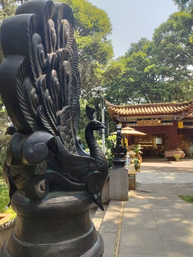 金殿风景名胜区旅行图片 6