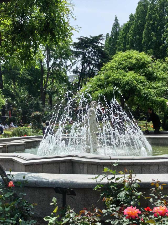 复兴公园旅行图片 2