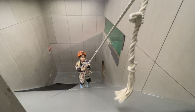 上海大宁公园旅行图片 6