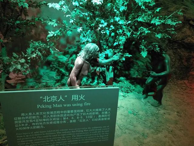 周口店遗址博物馆旅行图片 2