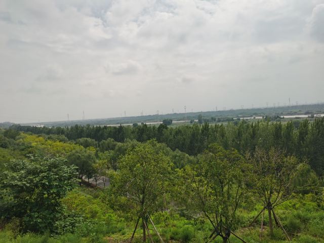 高陵泾渭湿地观光园旅行图片 11