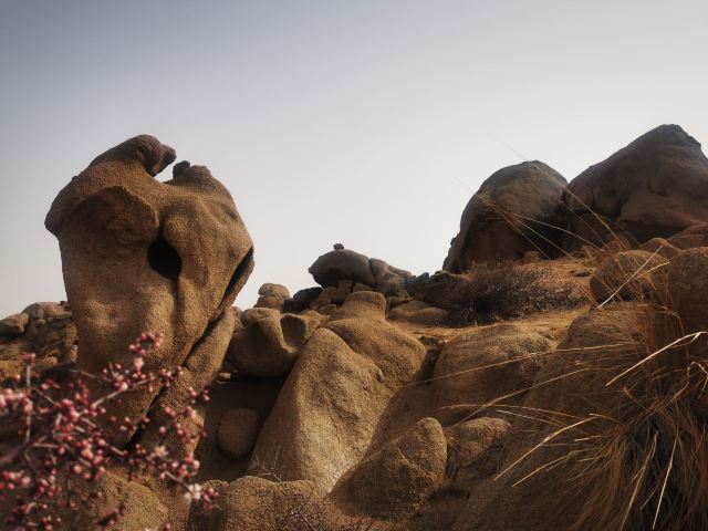 风蚀冰臼地质公园旅行图片 6