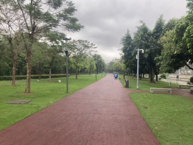 碧湖生态公园旅行图片 10
