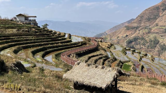 新山梯田旅行图片 6