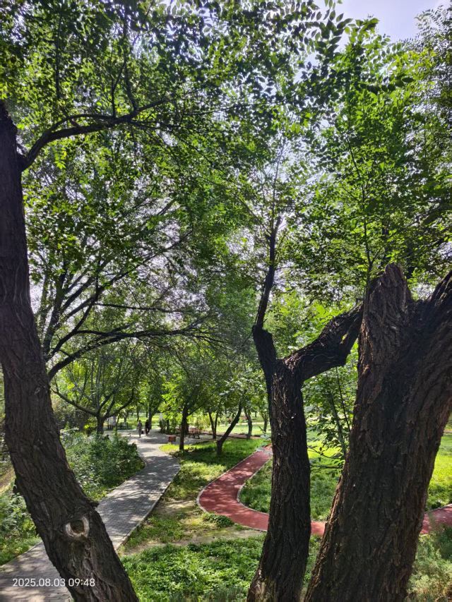 老山城市休闲公园旅行图片 15