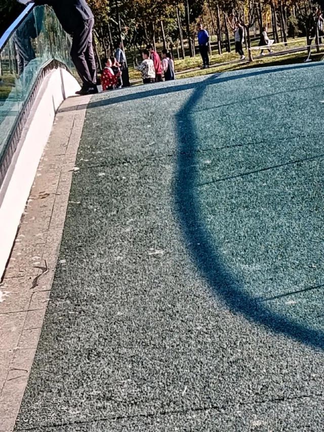 苹果公园旅行图片 3
