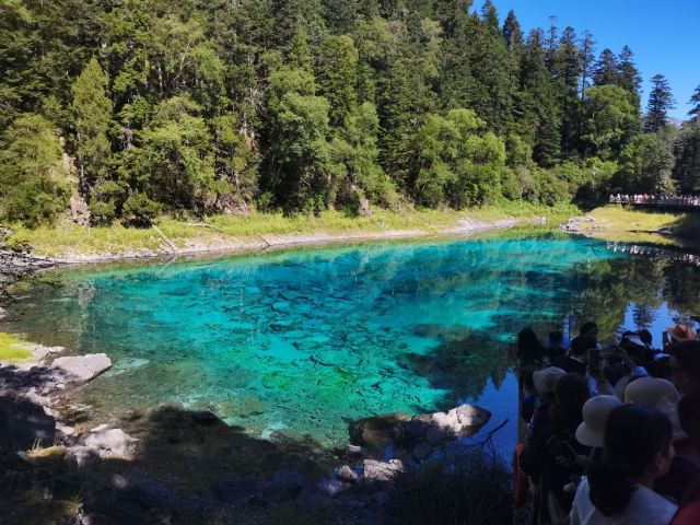 九寨沟景区五彩池观景台旅行图片 1