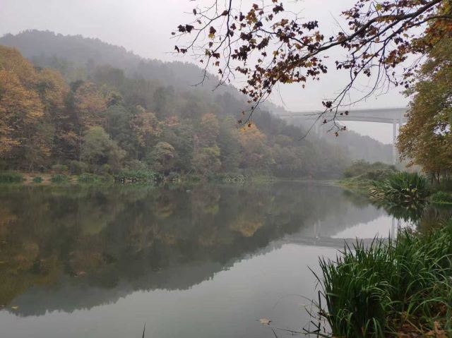 黔灵山公园旅行图片 5