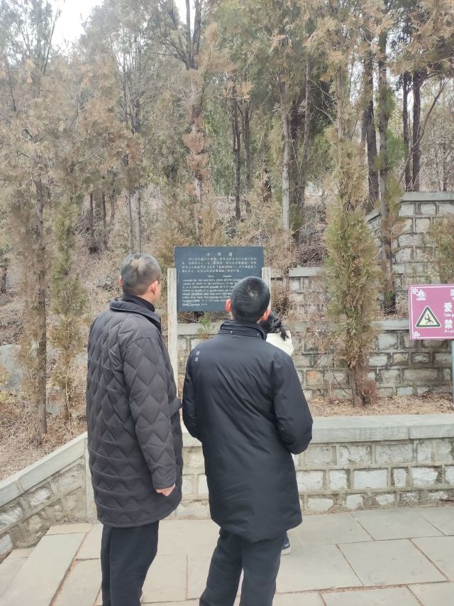 四门塔旅行图片 4