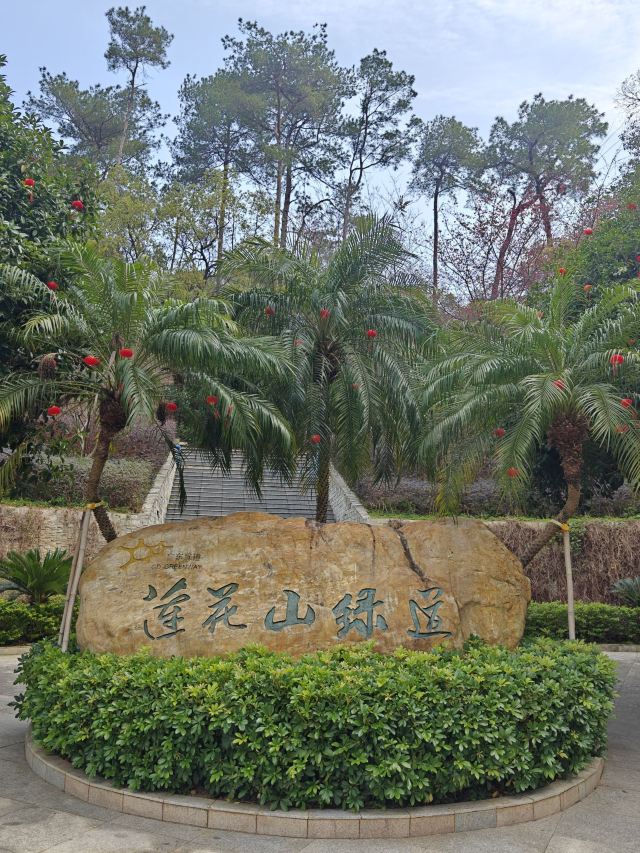 韶关国家森林公园旅行图片 5