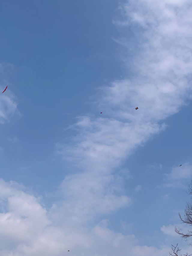 滨海公园旅行图片 2
