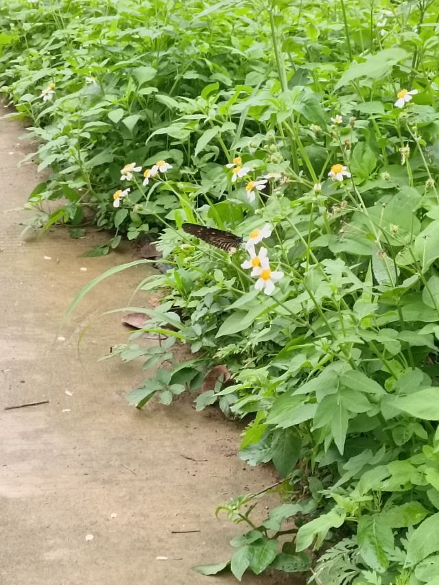 模范龙潭风景区旅行图片 2