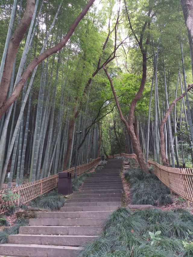 会稽山风景区旅行图片 3