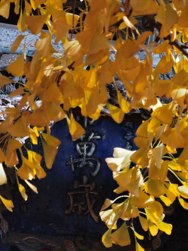 府城关帝庙旅行图片 1
