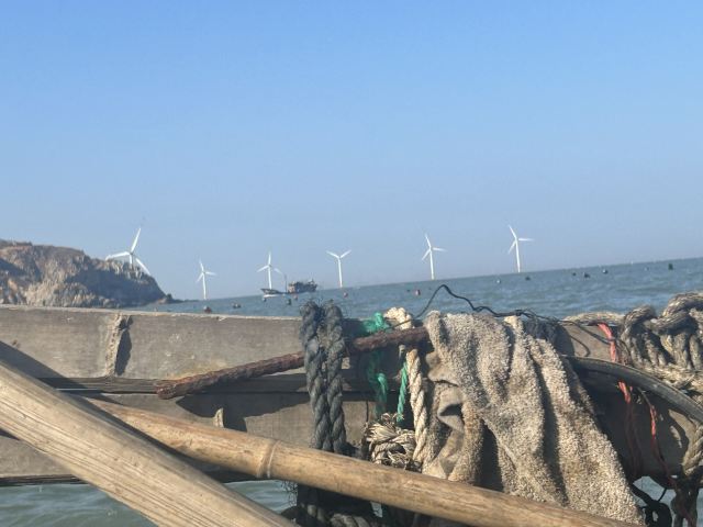 蓝眼泪观景点(长江澳海滩)旅行图片 2