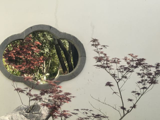 骆岗公园旅行图片 9