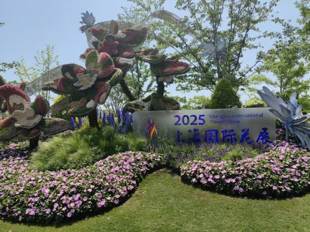 上海植物园旅行图片 1