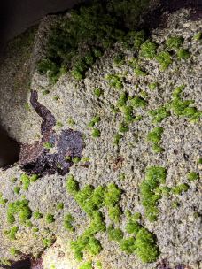 南澳最美海滩-南澳-阿劳索尼