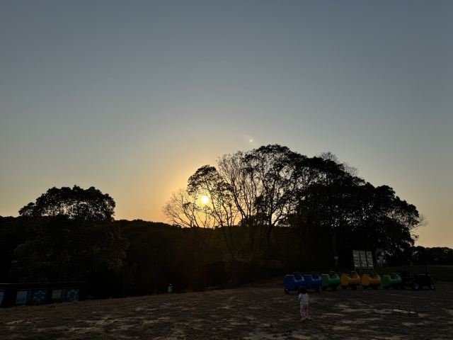 鄱阳湖国际湿地候鸟馆旅行图片 2