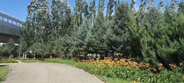 呼和浩特市植物园旅行图片 4