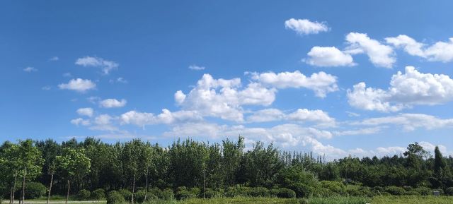 呼和浩特市植物园旅行图片 9