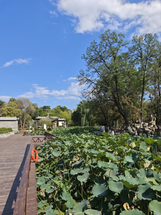 莲湖公园旅行图片 2