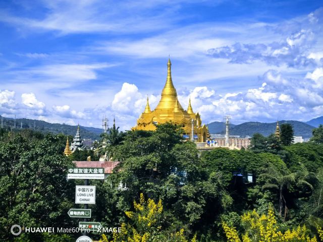 西双版纳独树成林景区旅行图片 1