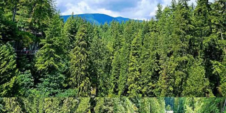 卡皮拉諾吊橋公園