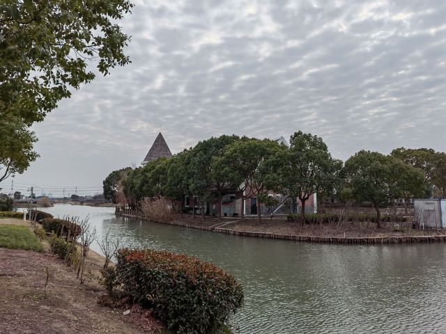 上海漕泾郊野公园旅行图片 4