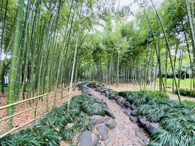 古城公园旅行图片 5